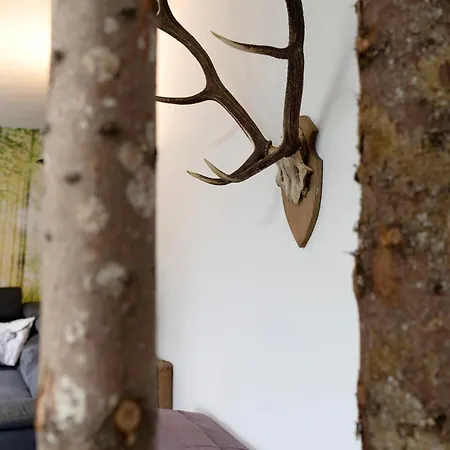 Holiday home Eichwald - Ganzes Haus Freudenstadt
